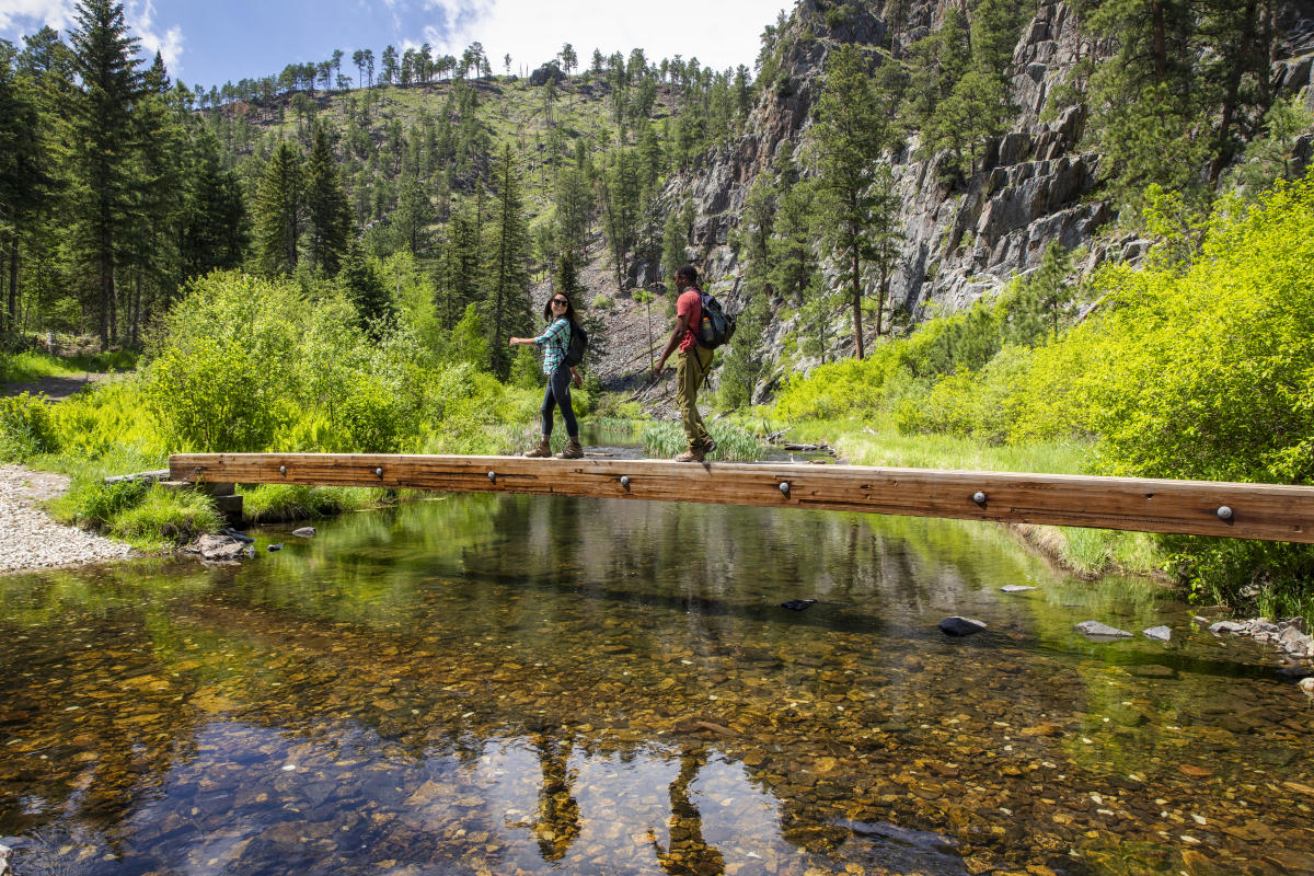 Woman and man walking across trail log over water in Black Hills National Forest on a hiking trail