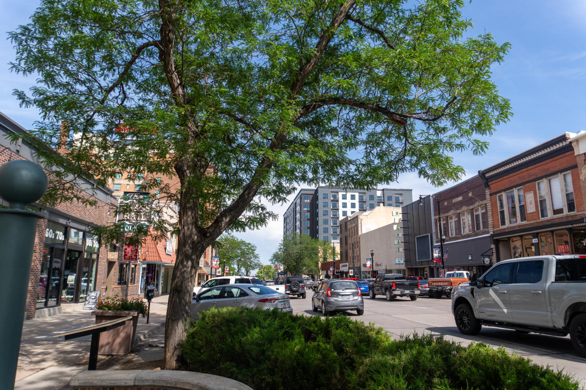 A bustling urban street scene with cars and people. A large leafy tree in the foreground, flanked by brick buildings and shops under a clear blue sky.
