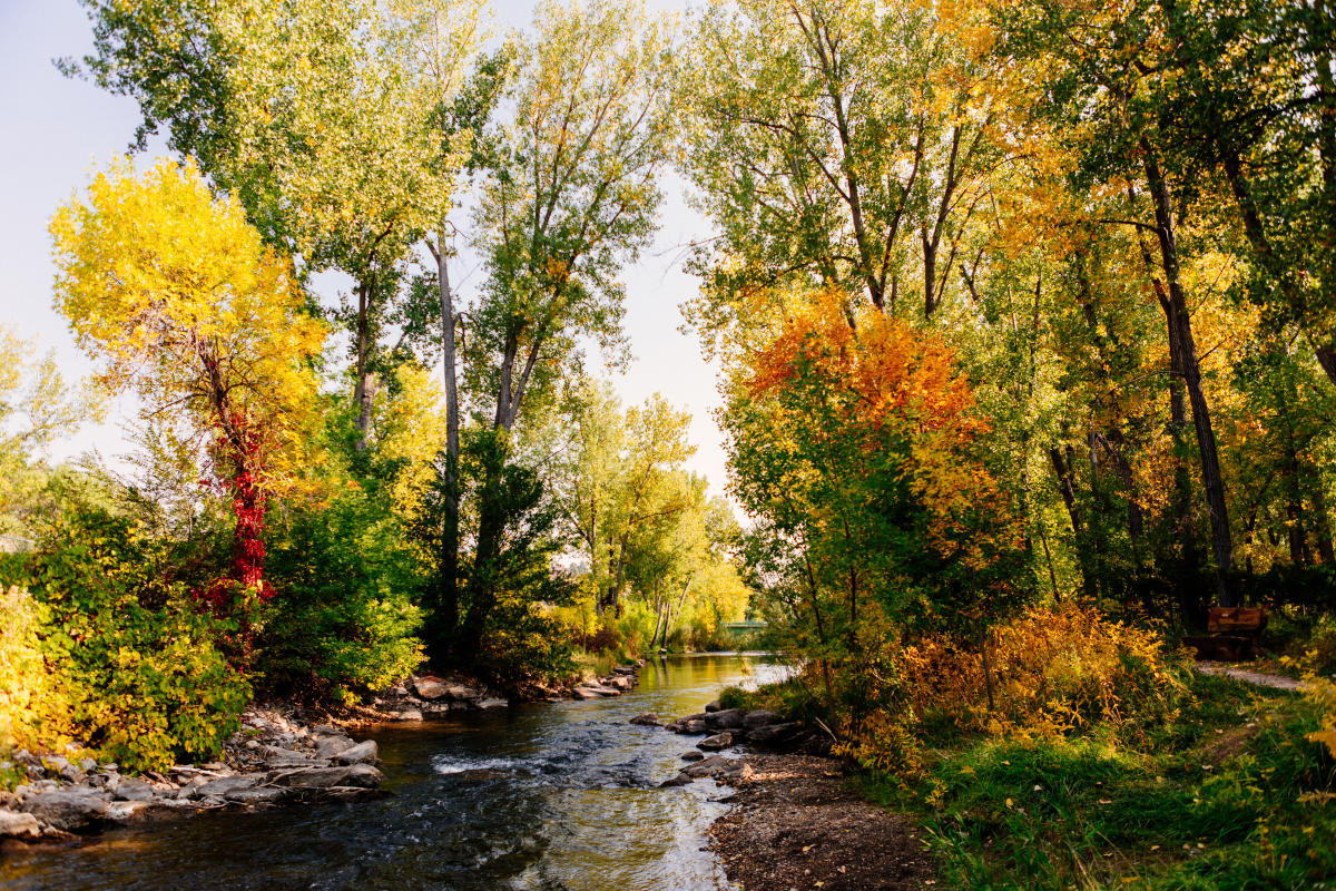 A serene river flows through a forest with vibrant autumn leaves in shades of yellow, orange, and green, under a clear blue sky, evoking tranquility.