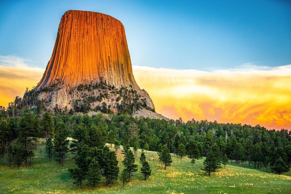 Devils Tower rises prominently with its textured, vertical columns illuminated by warm sunset hues. The lush green forest and vivid sky create a majestic scene.