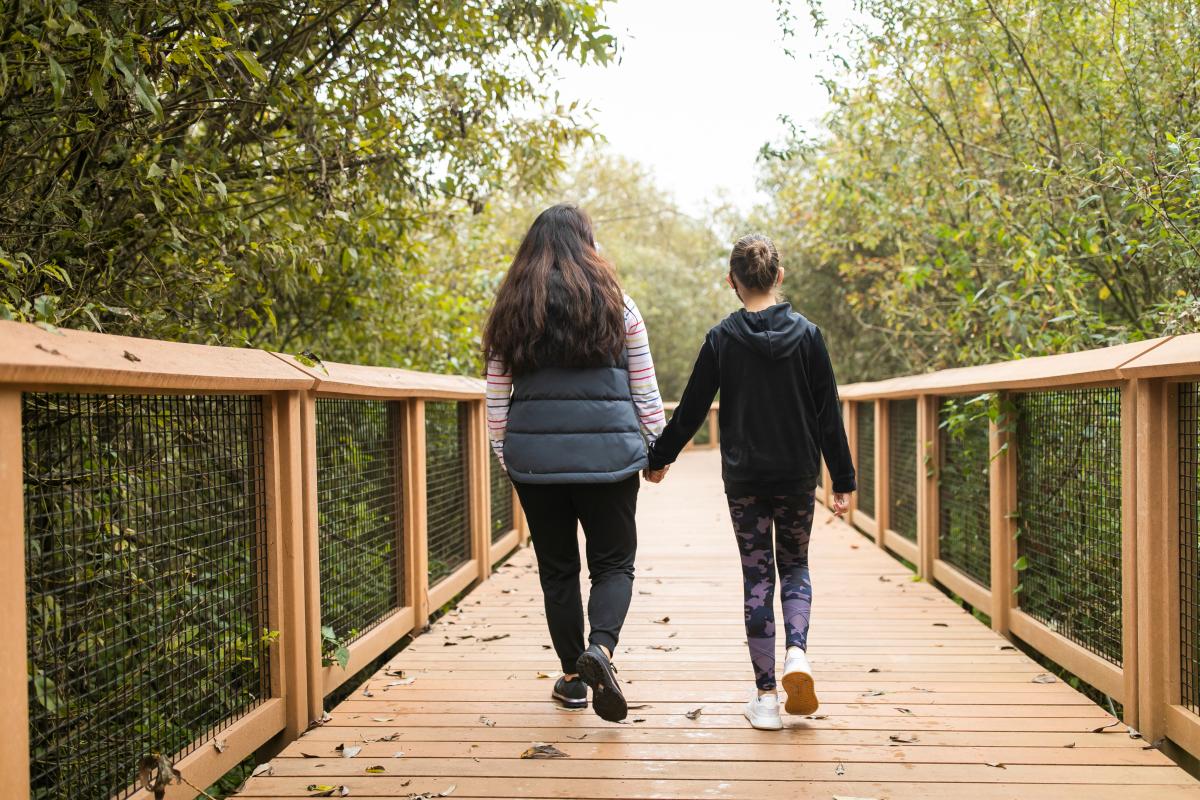 Springbrook Boardwalk at the Black River Riparian Forest