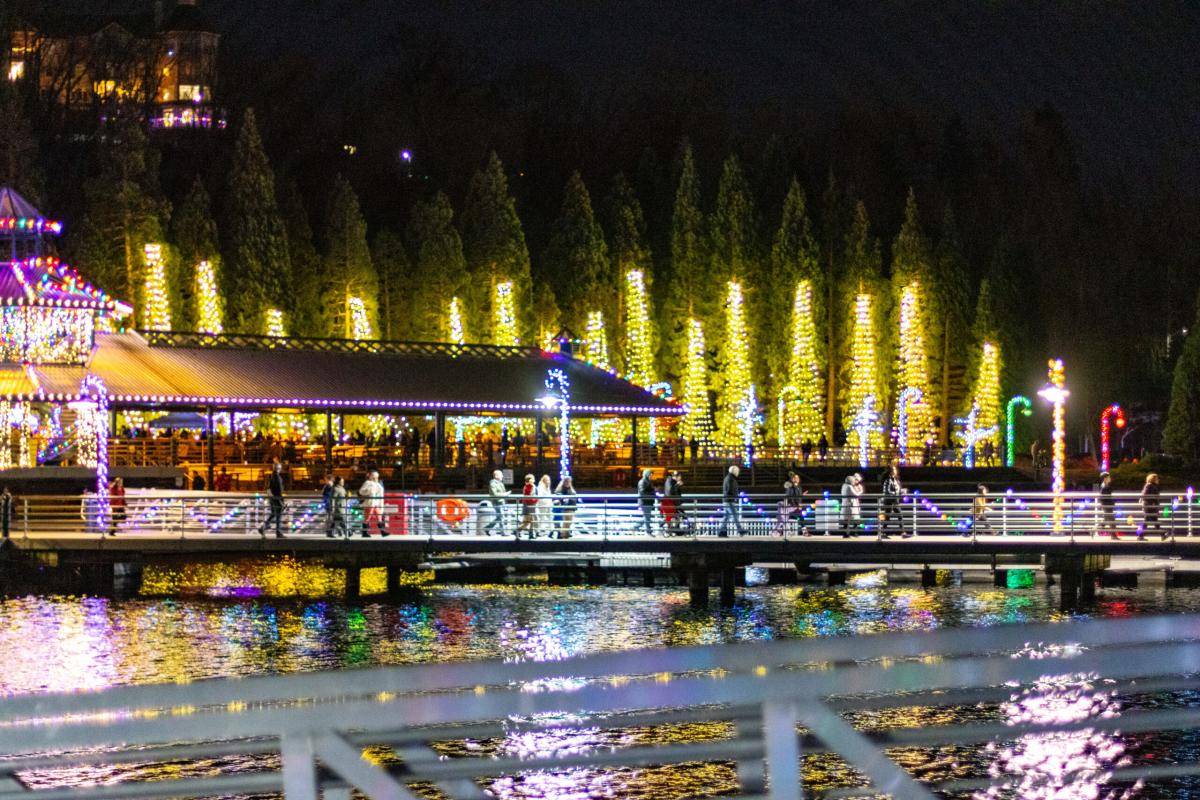 Clam Lights Coulon BoardWalk