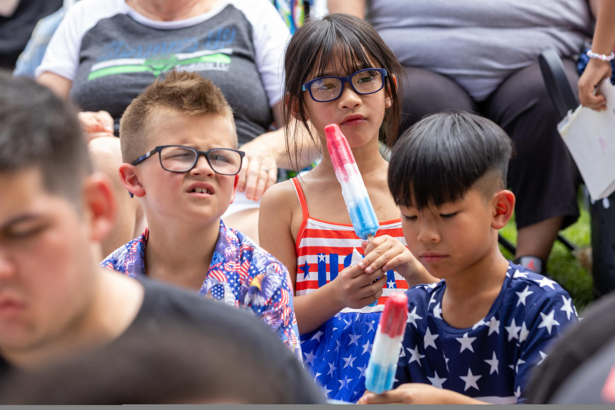 usa popsicles