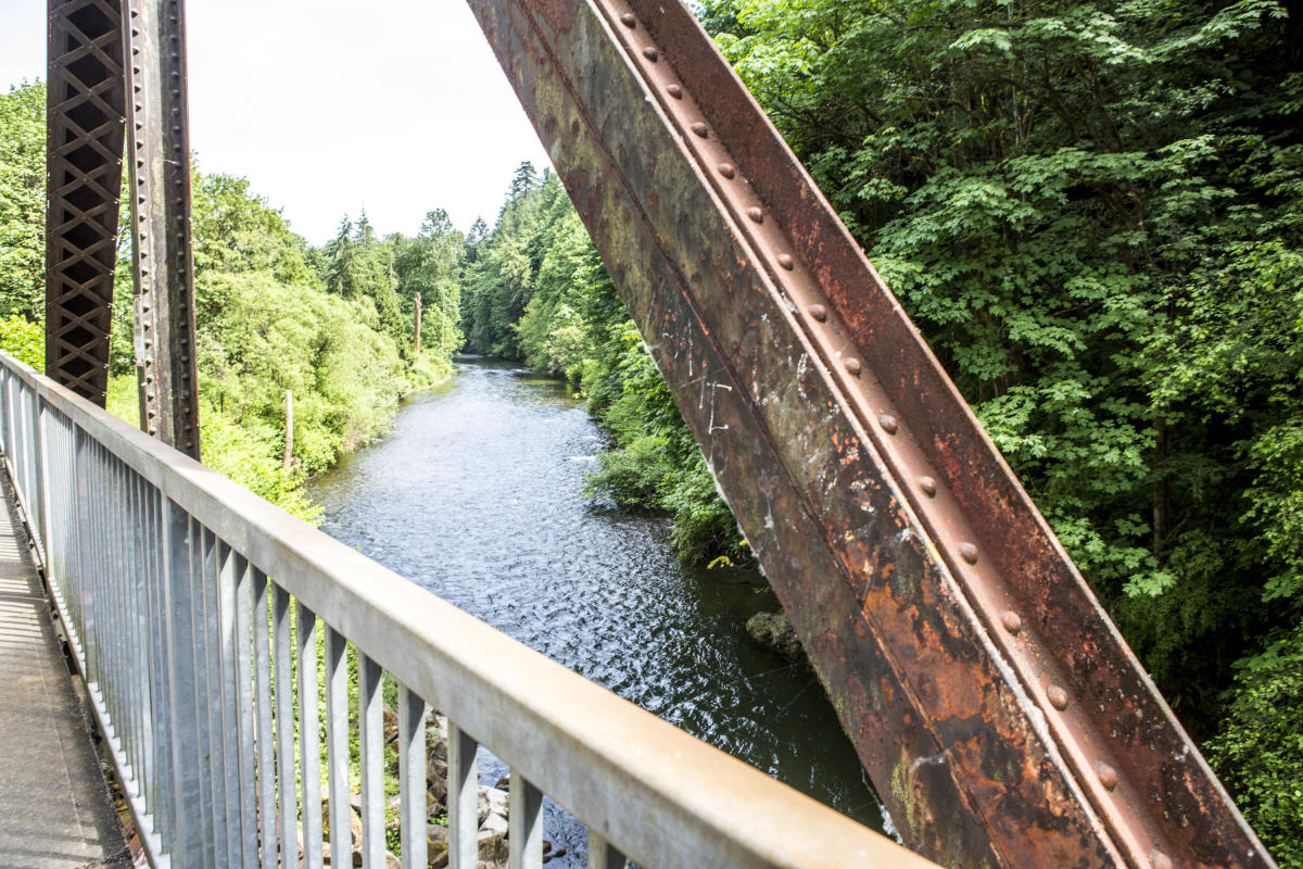 Cedar River trail