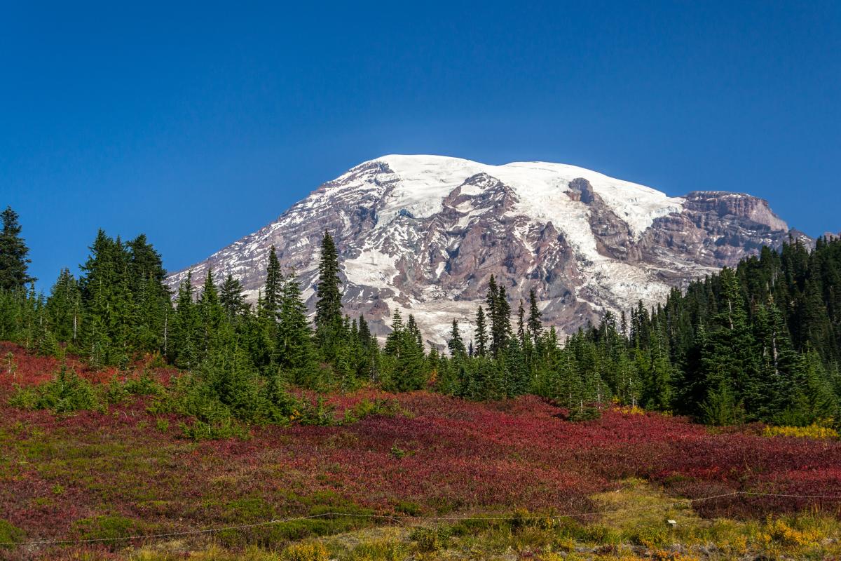 Mount Rainier National Park