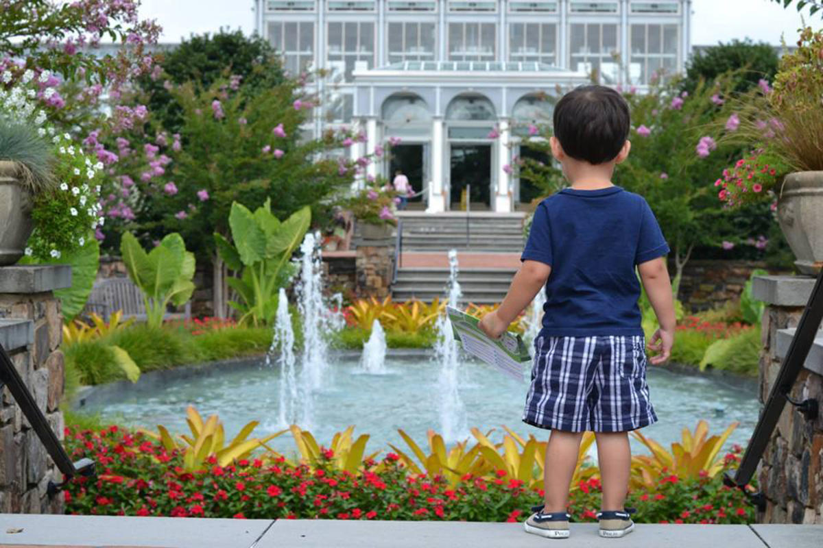 Lewis Ginter