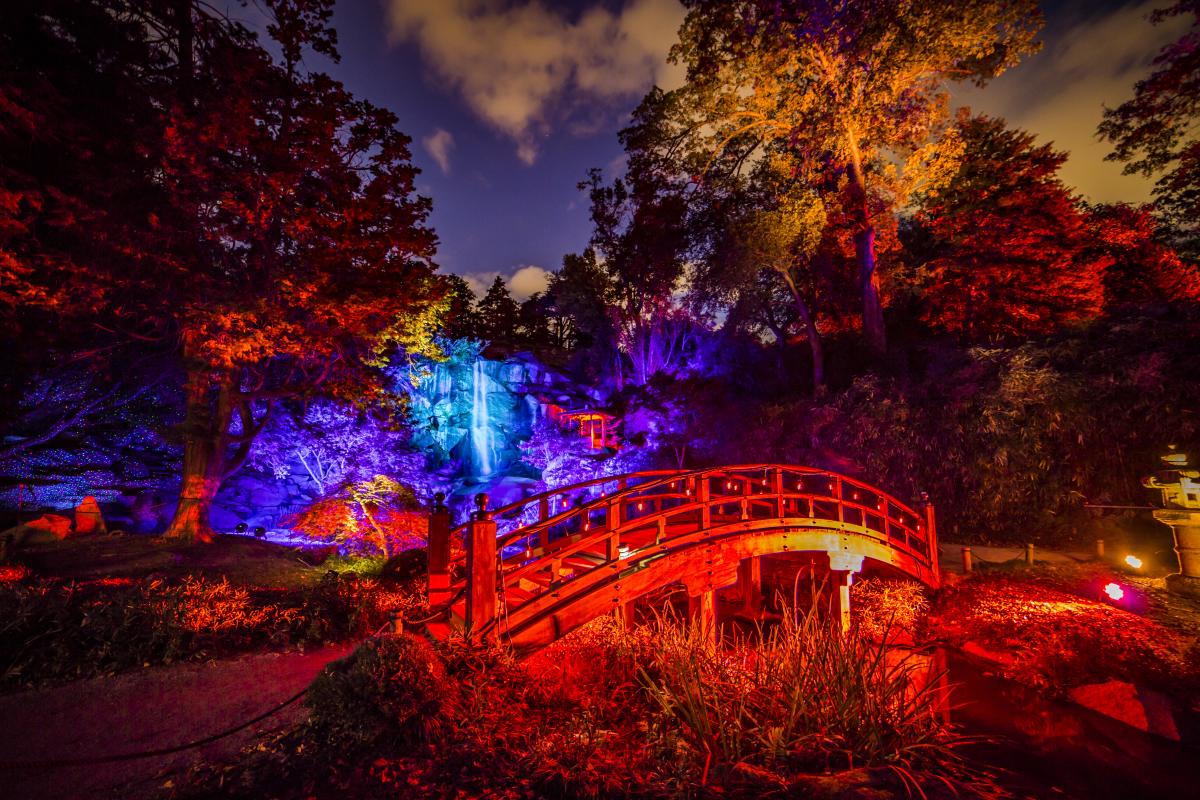 Maymont Garden Glow