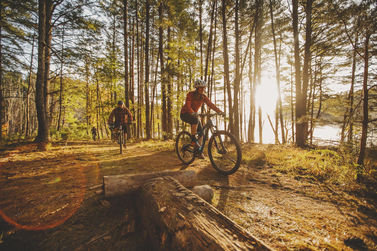 Mountain Bike Trail - Carvins Cove, Roanoke