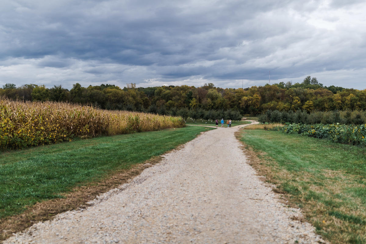 Northwoods Orchard