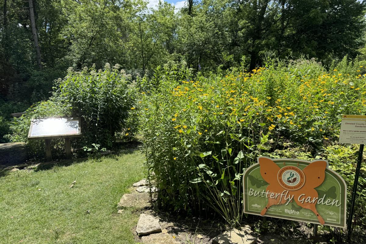 Butterfly Garden at Quarry Hill