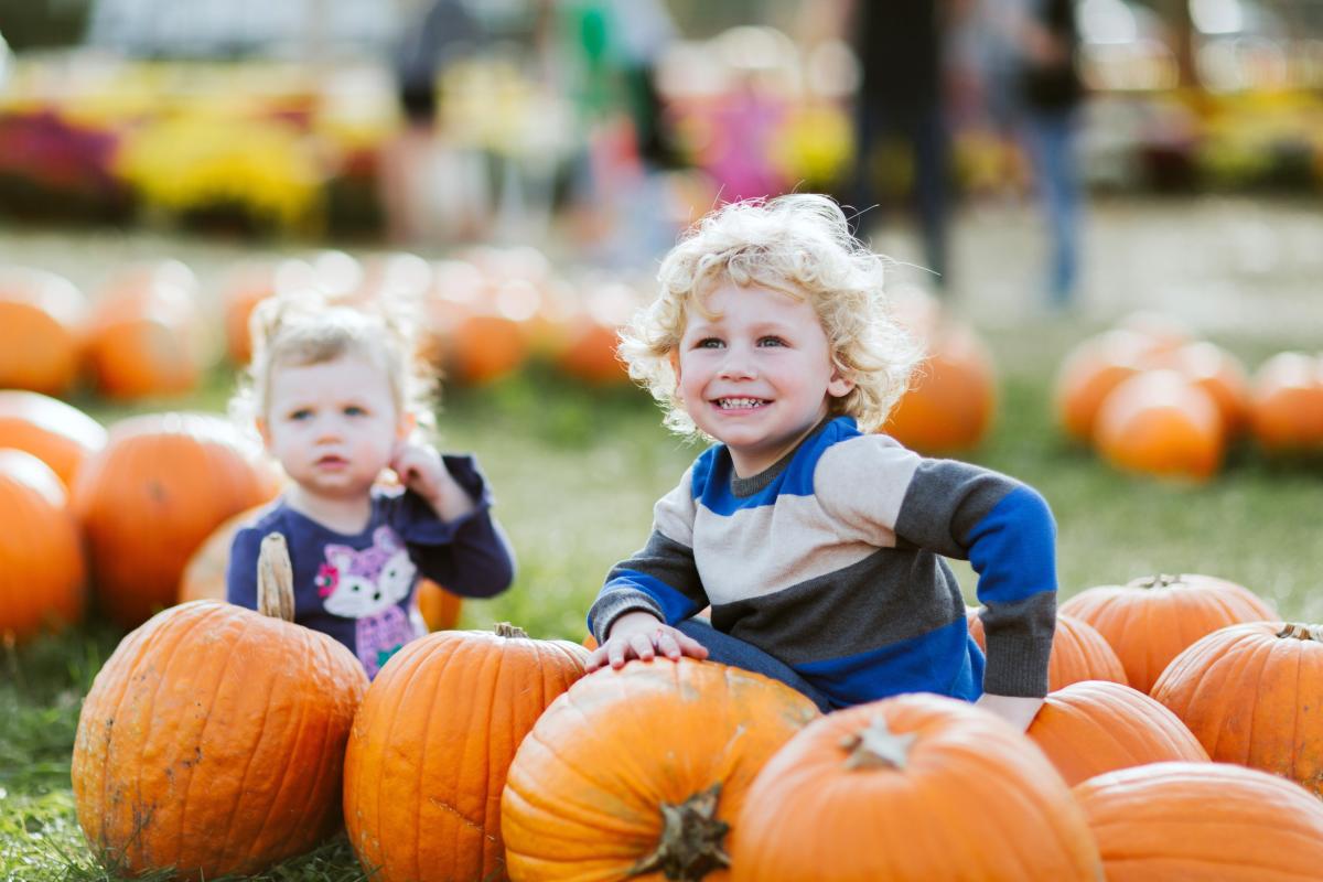 Family fall fun at Sekapp Orchard in Rochester MN