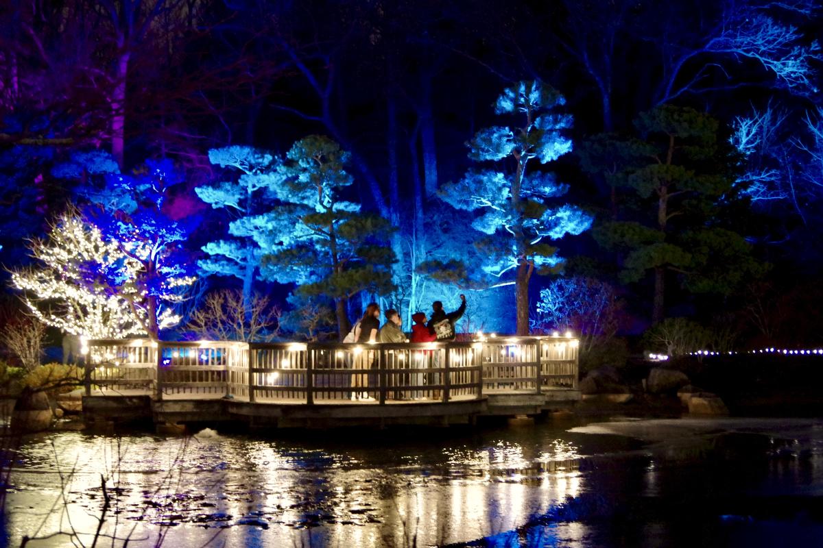Illuminated Lights at Anderson Japanese Gardens