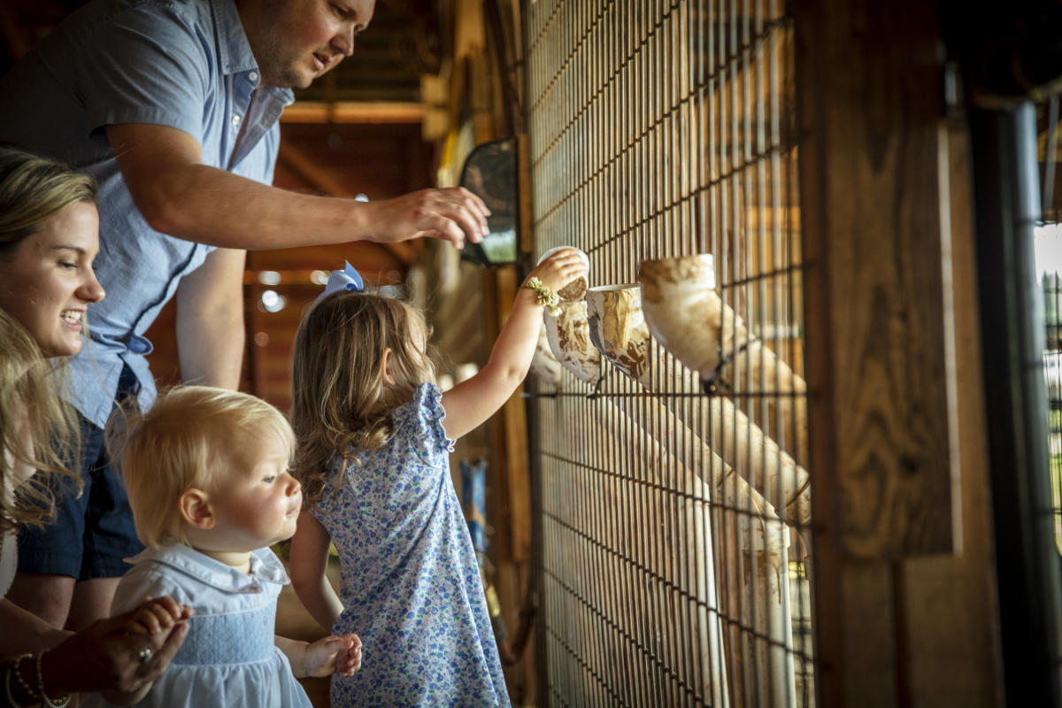 Feeding Animals at Patterson Spring