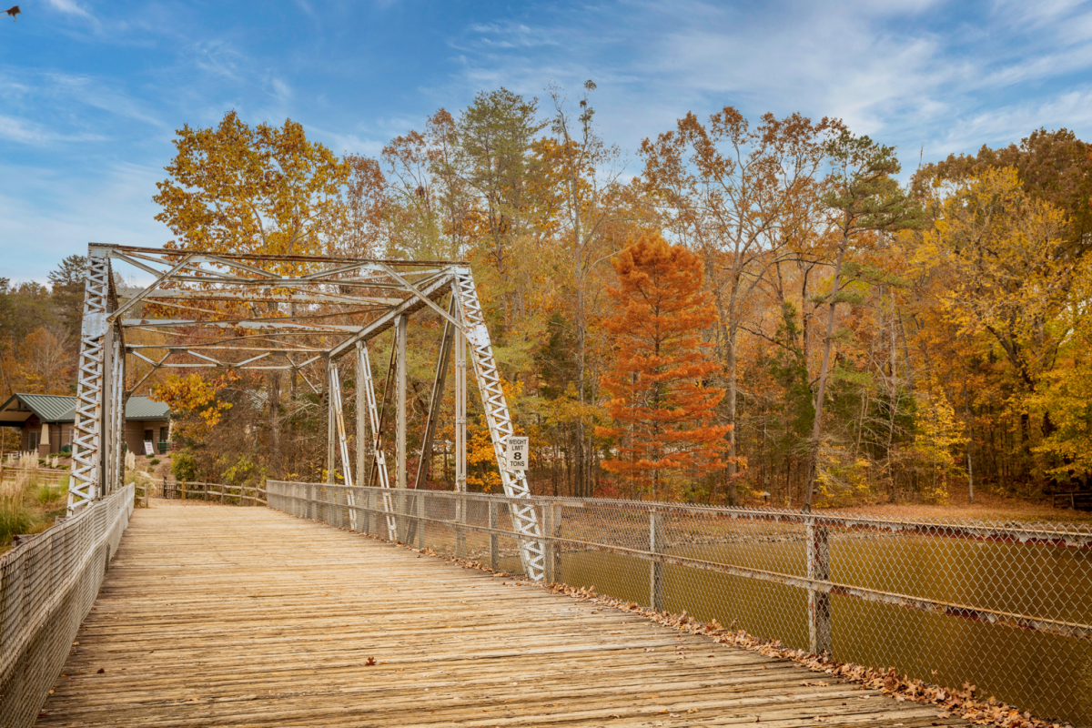 Park bridge during the fall