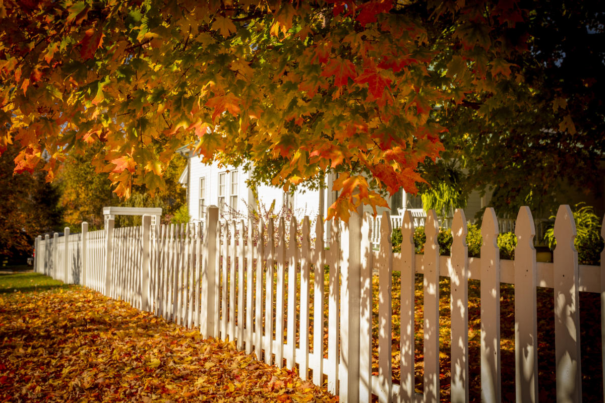 Fall foliage along white picket fence