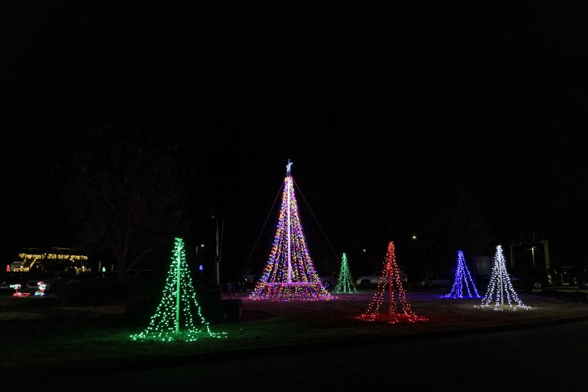 Outdoor Christmas tree lights