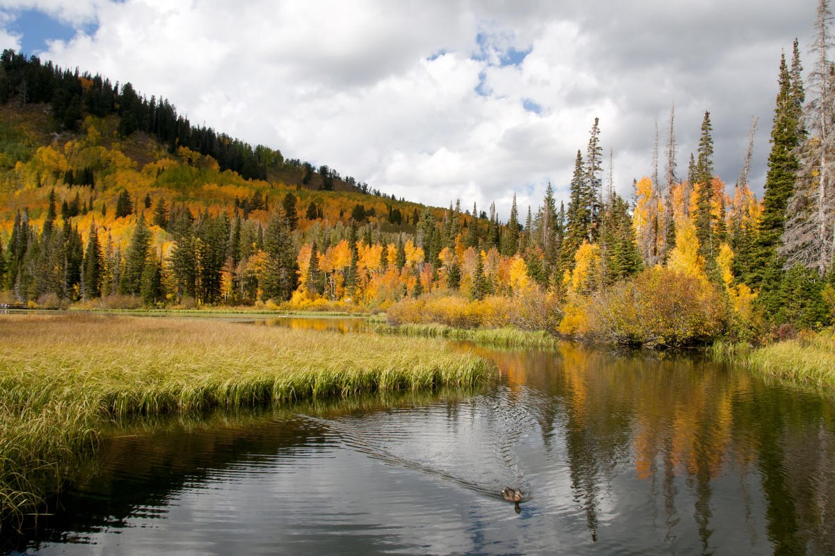 Silver Lake in Big Cottonwood Canyon