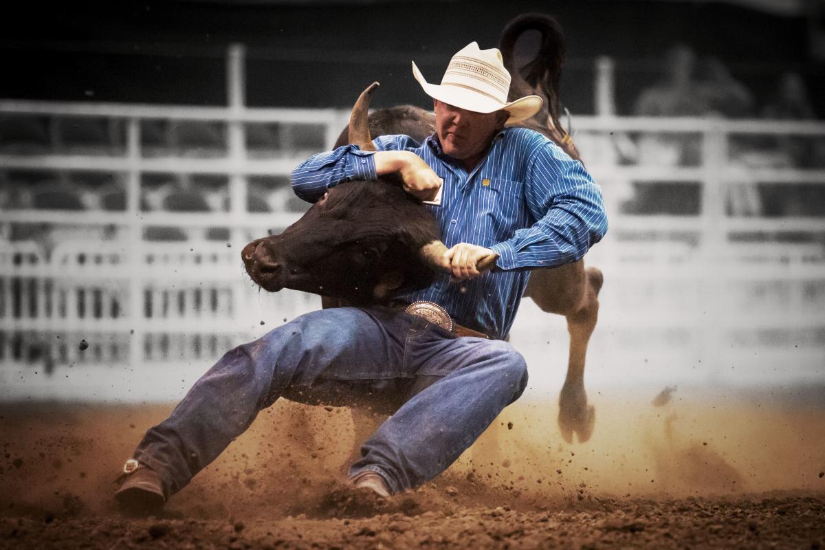 Steer Wrestling at Days of '47 Cowboy Games and Rodeo