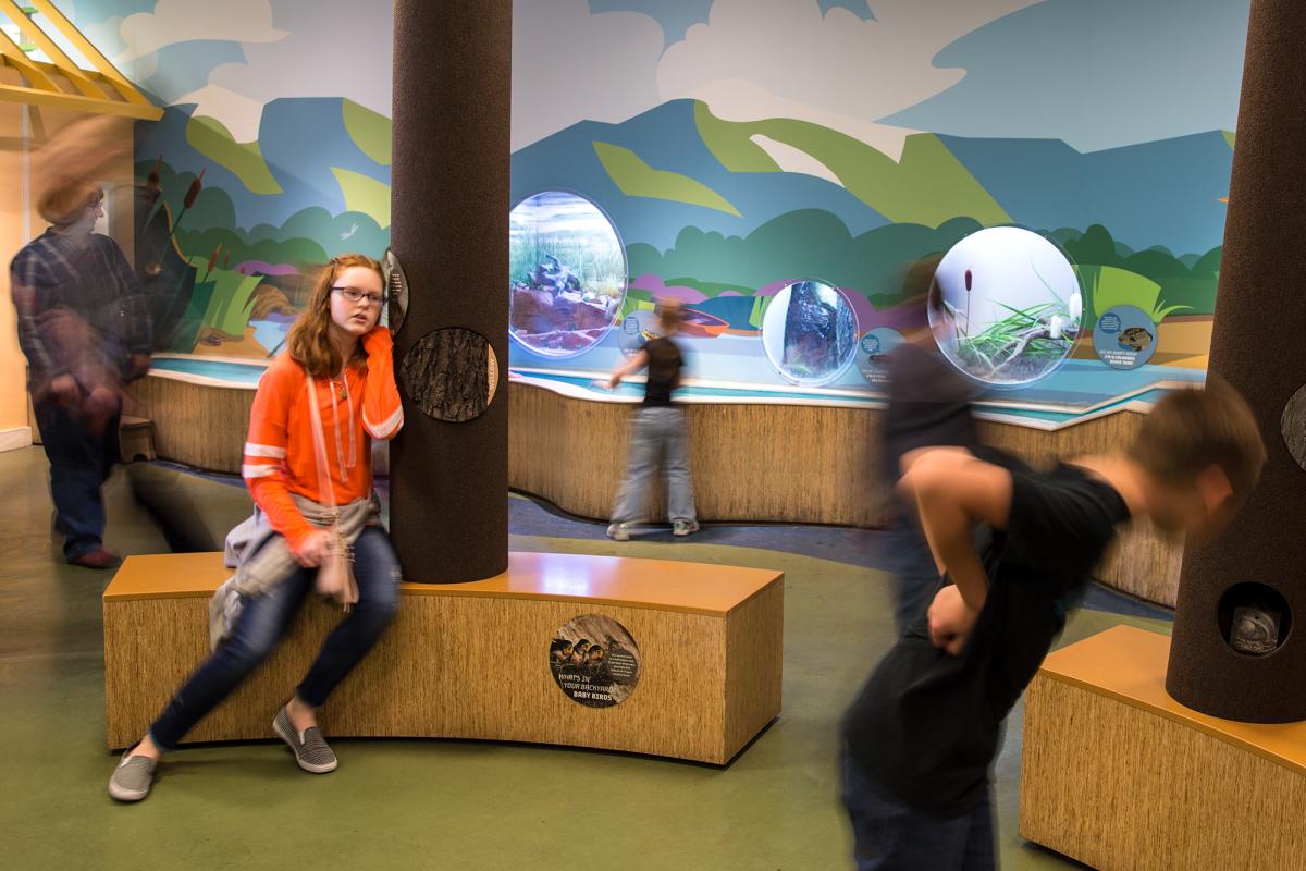 Come visit Our Backyard at The Natural History Museum of Utah