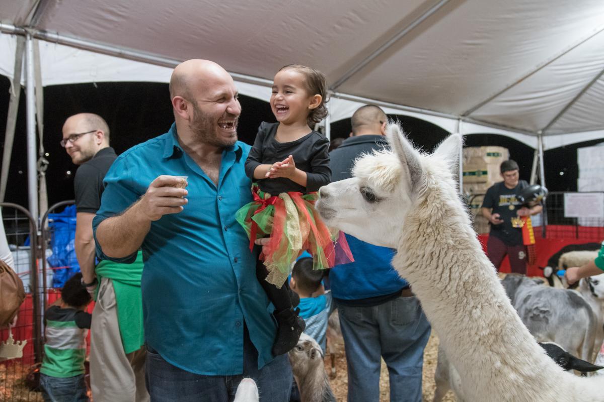 A young girl and her father feed alpacas at Sights & Sounds of Christmas, an annual Christmas festival in Plaza Park in San Marcos, Texas