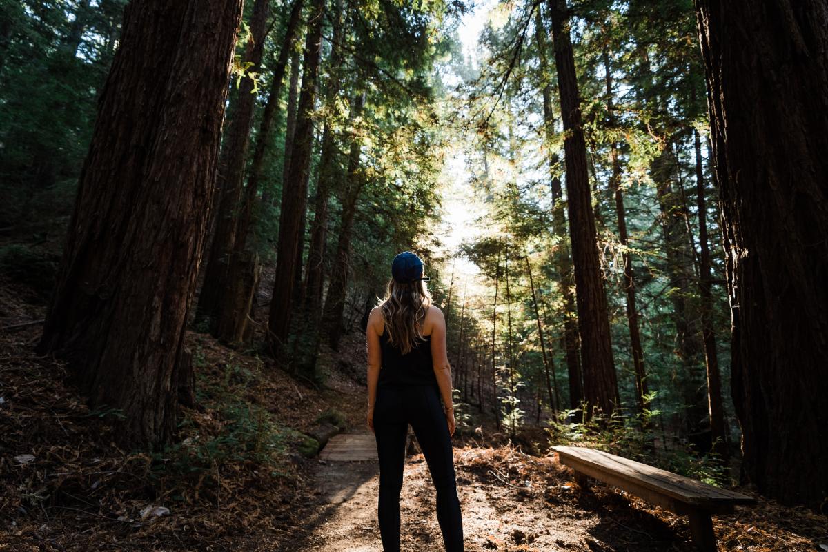 redwood-trails-canyon-ranch-woodside