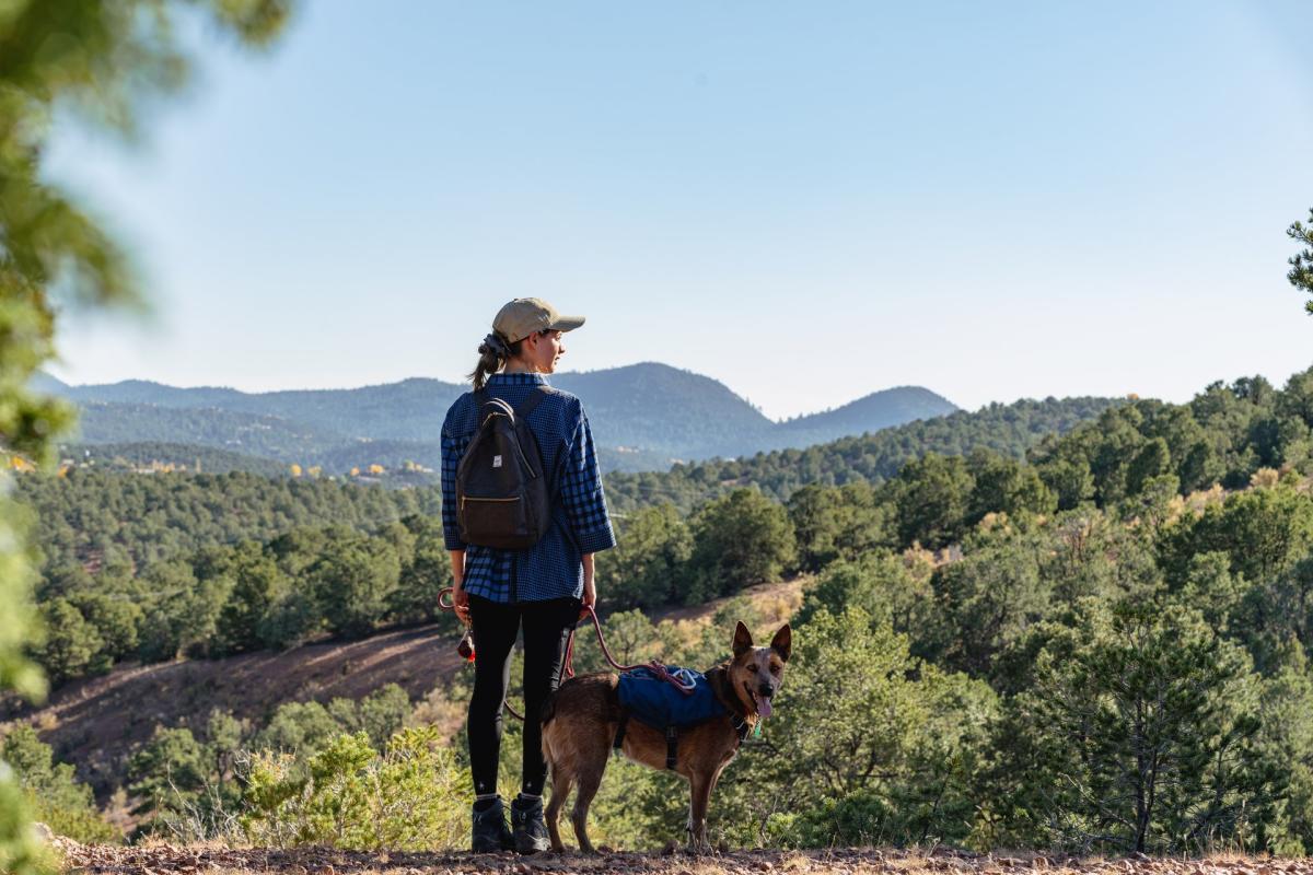 Hiking Dale Ball