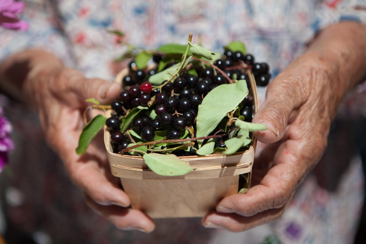 farmer's hands