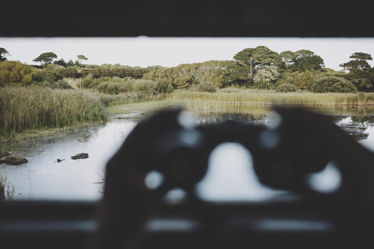 birding binoculars