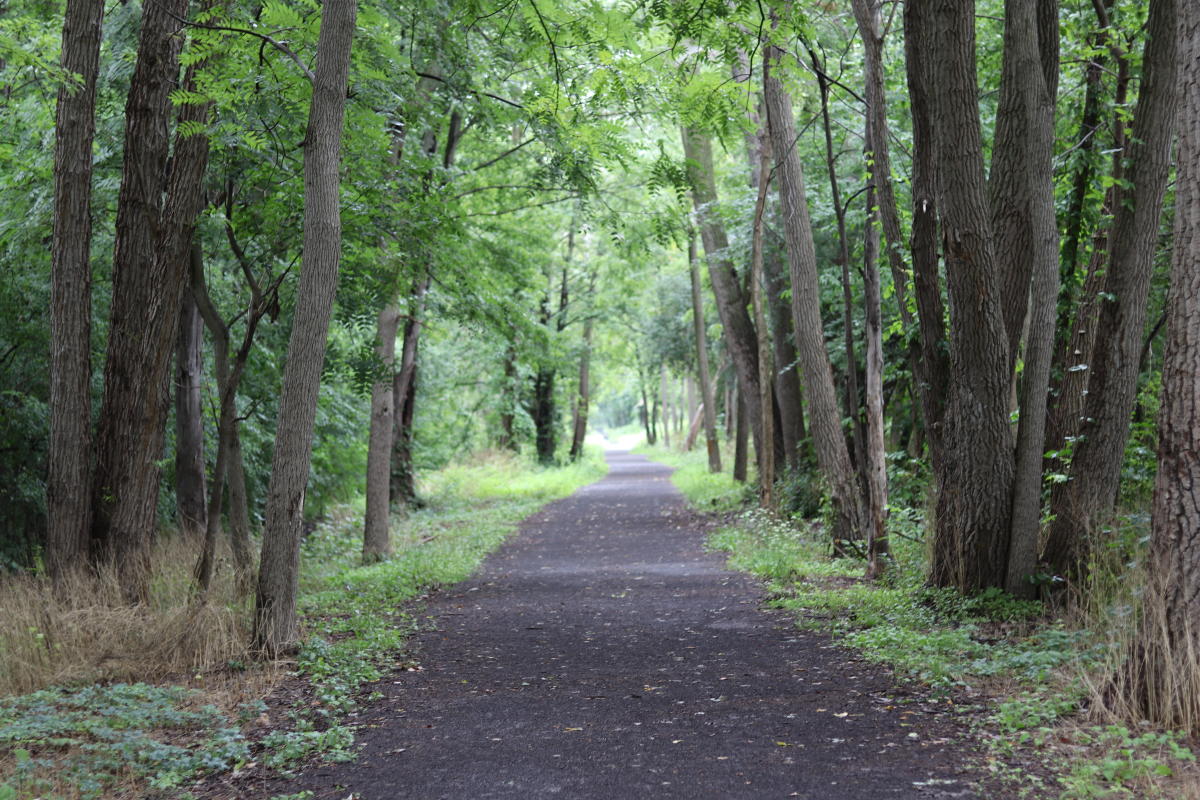 Cayuga Seneca Canal Trail