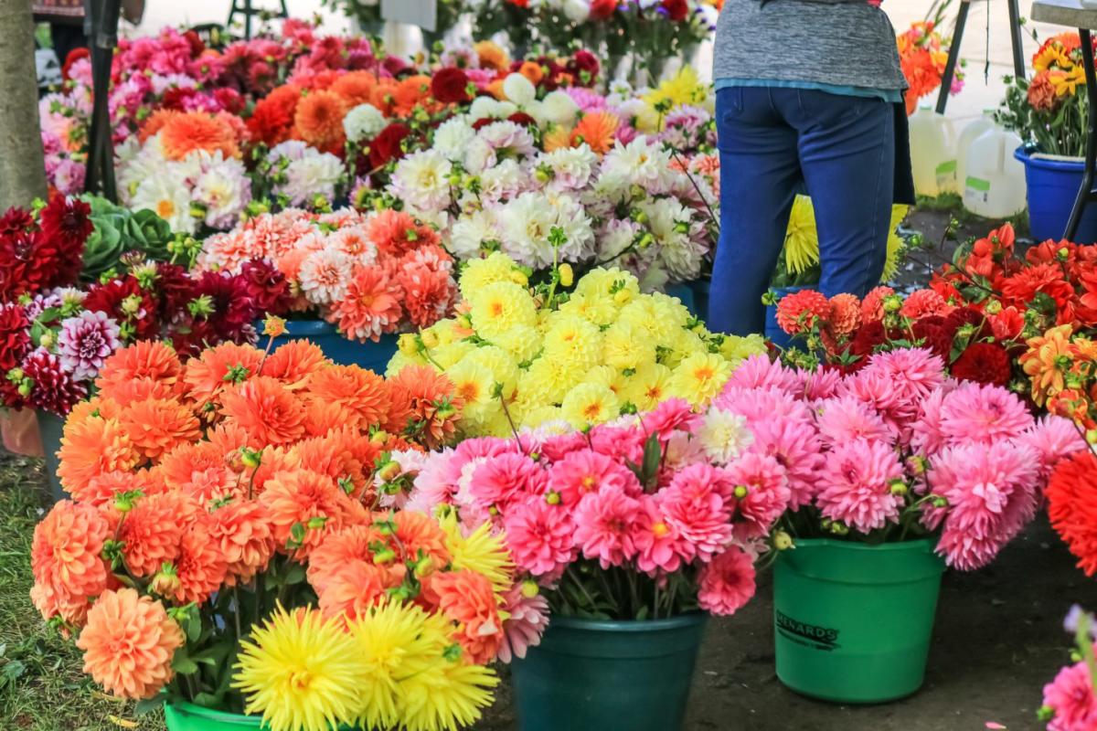 The Sheboygan Farmers Market