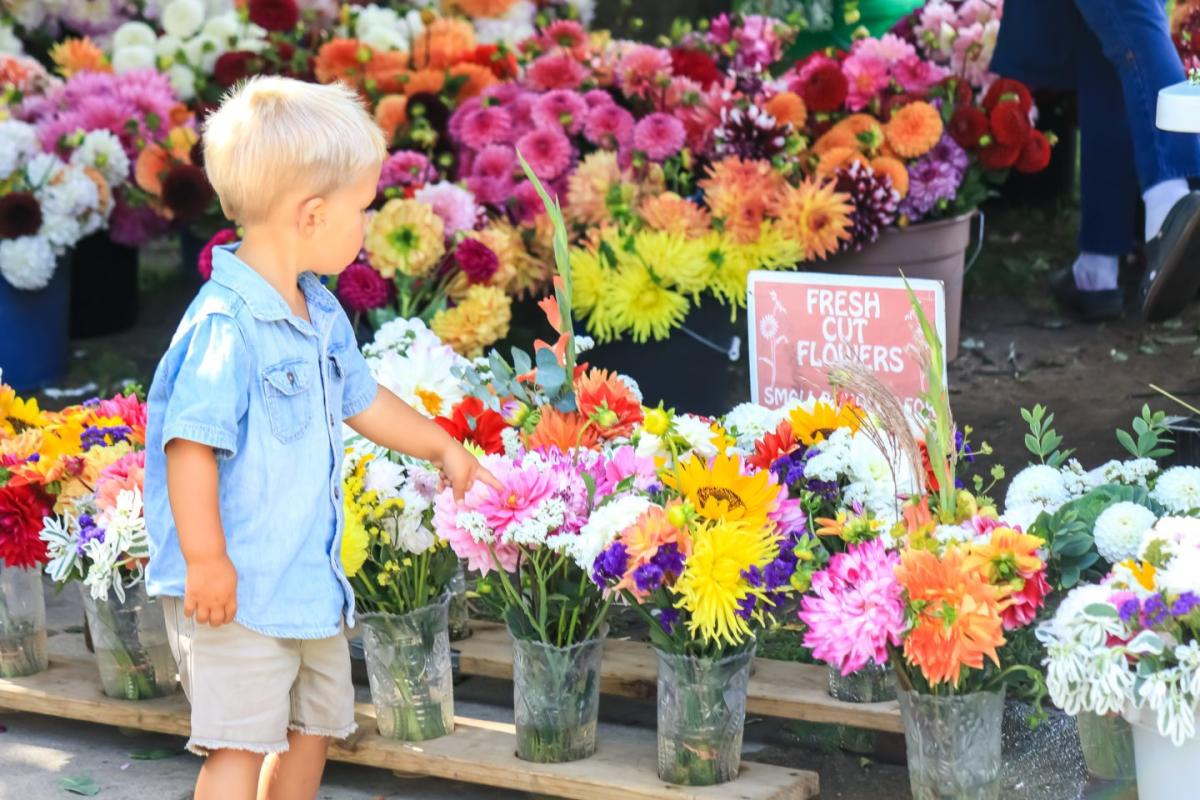 The Sheboygan Farmers Market