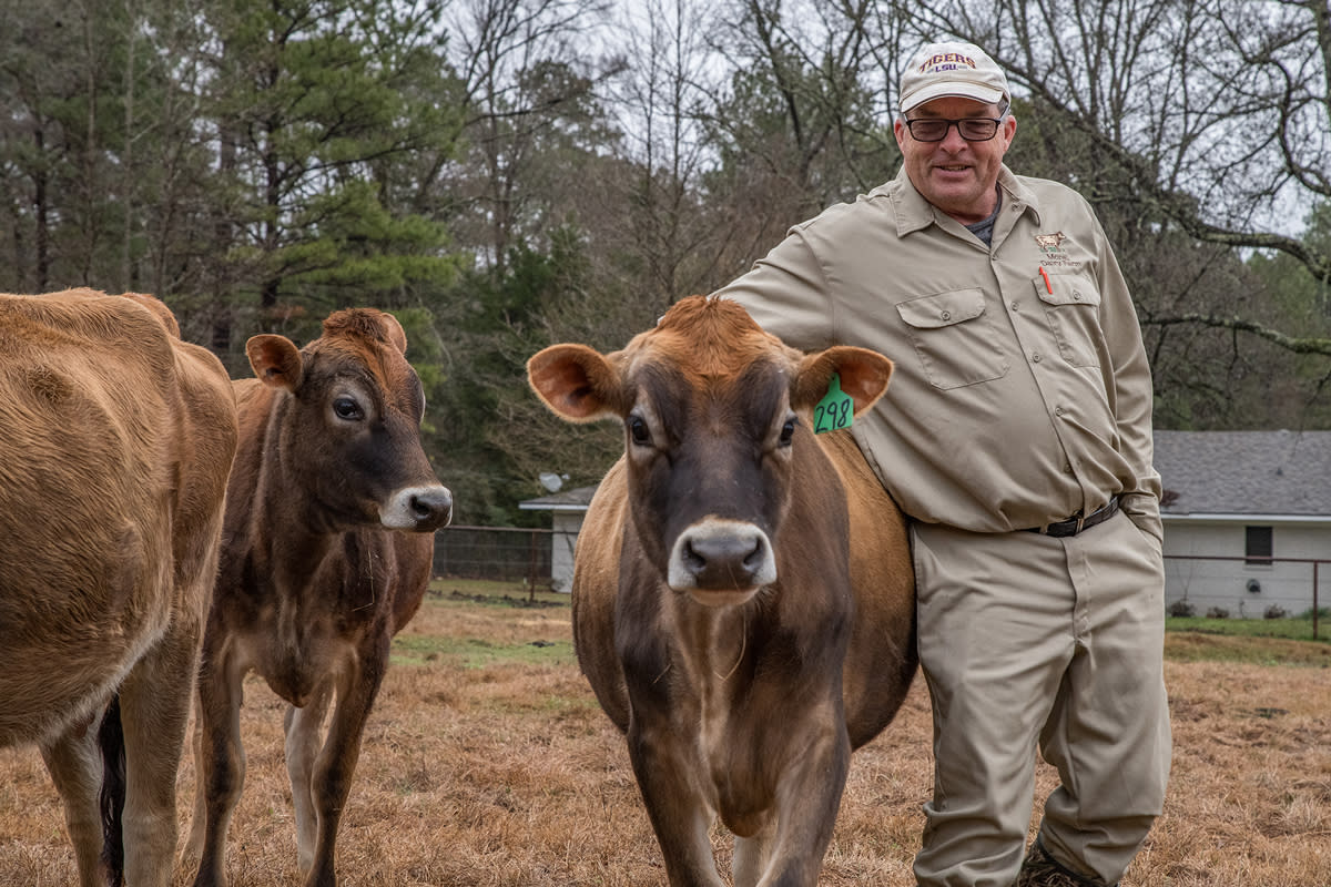 Dairy farmer with cows at Morell Dairy Farm is sold at Farmers' Markets in Shreveport and Bossier City