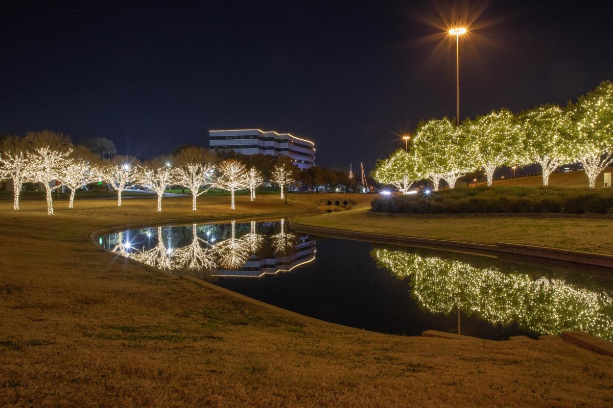 Christmas lights line trees by a pond in Irving