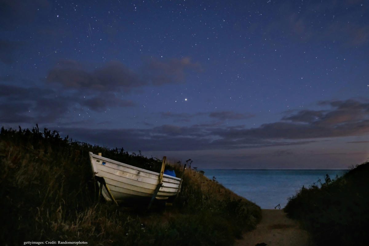 Seaside star gazing