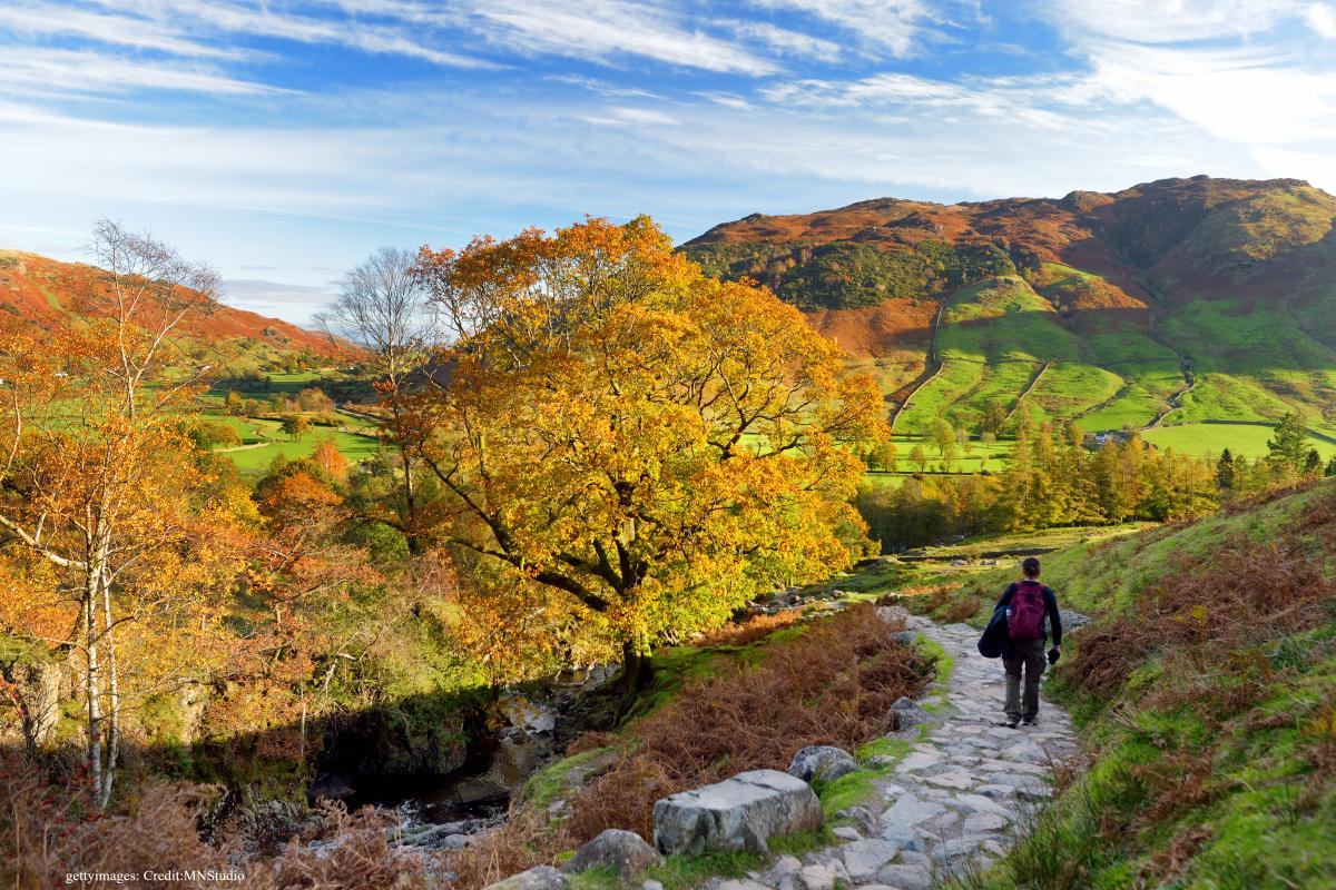 A visitor on an autumn walk in Cumbria, England.