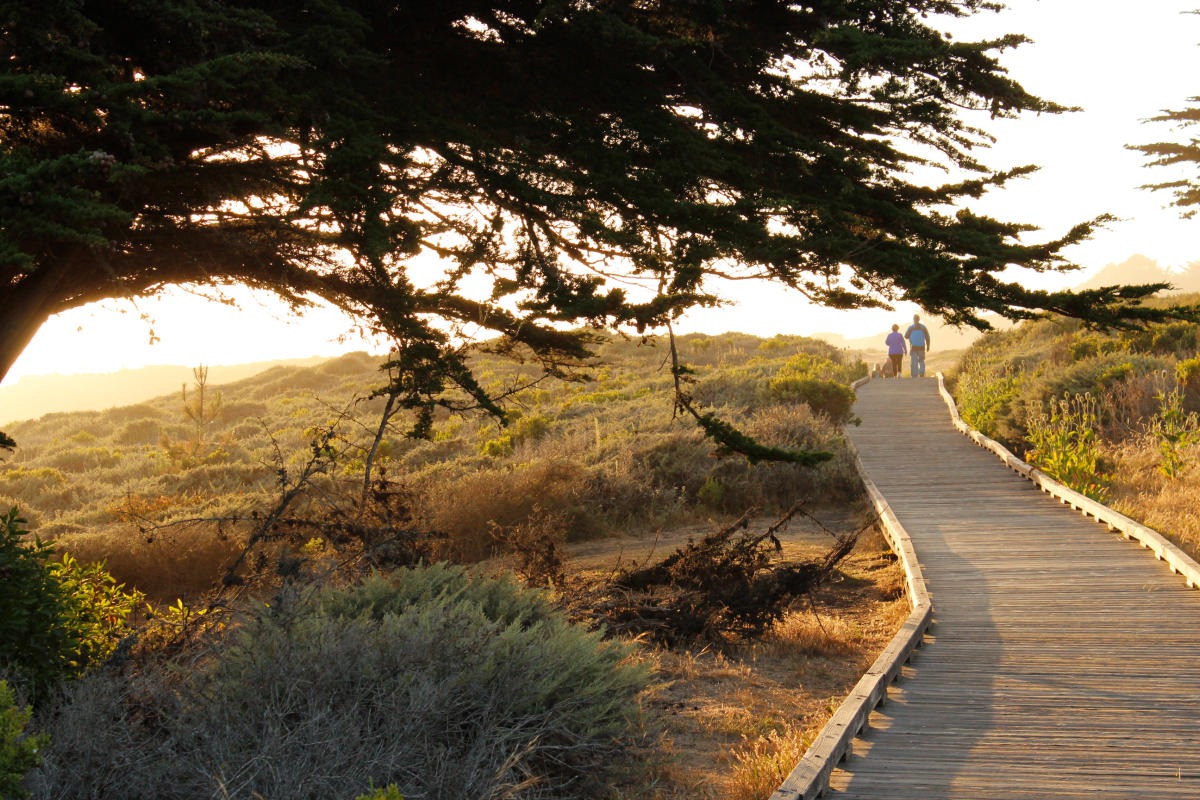 a Couple Walking Down The moonstone beach boardwalk In San Luis Obispo