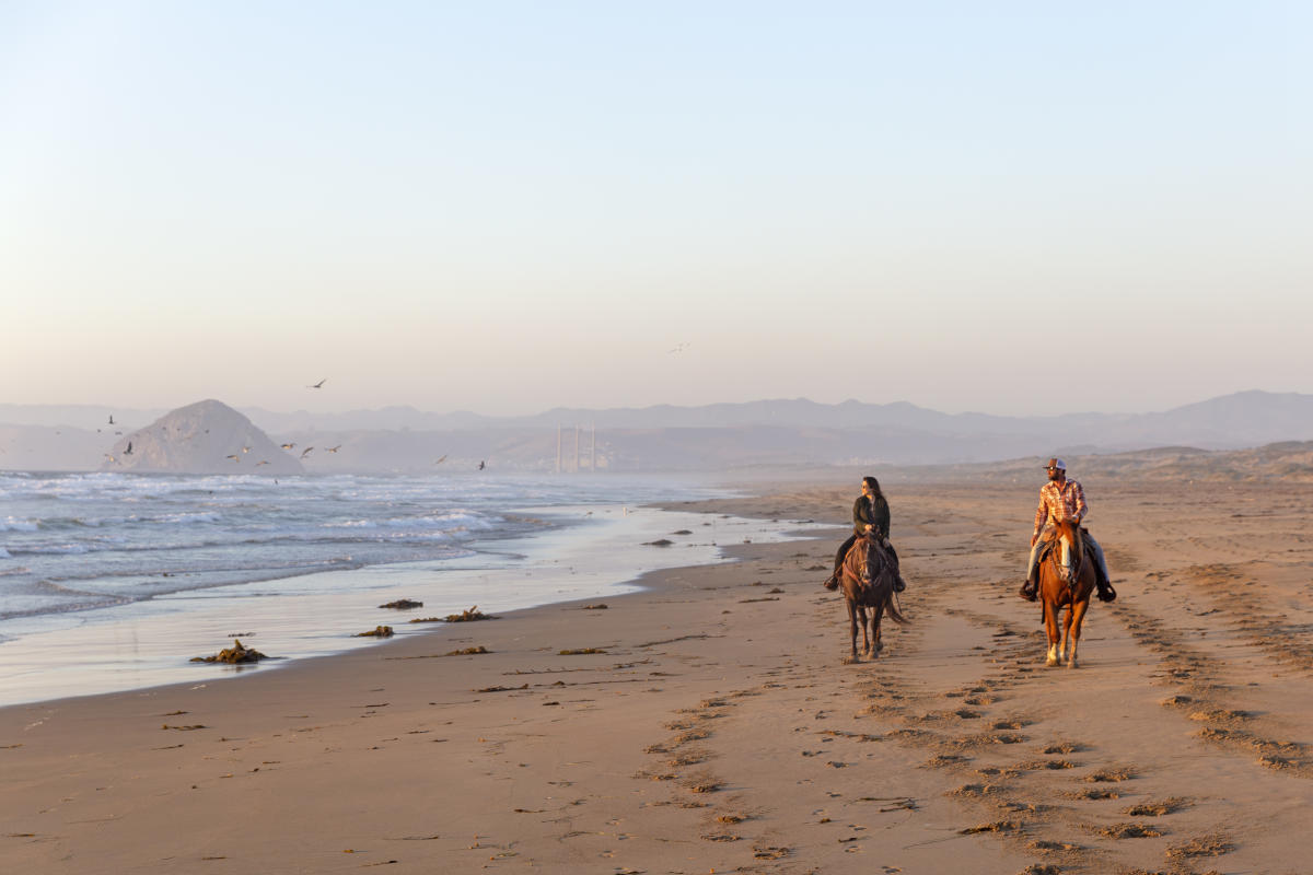 A woman and a man riding horses on the beach near Los Osos in SLO CAL