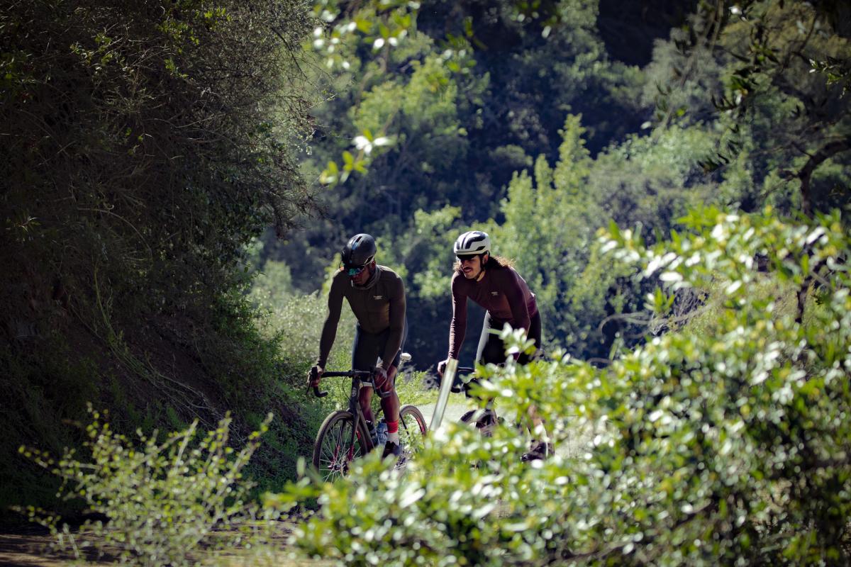 Biking along Highway 1