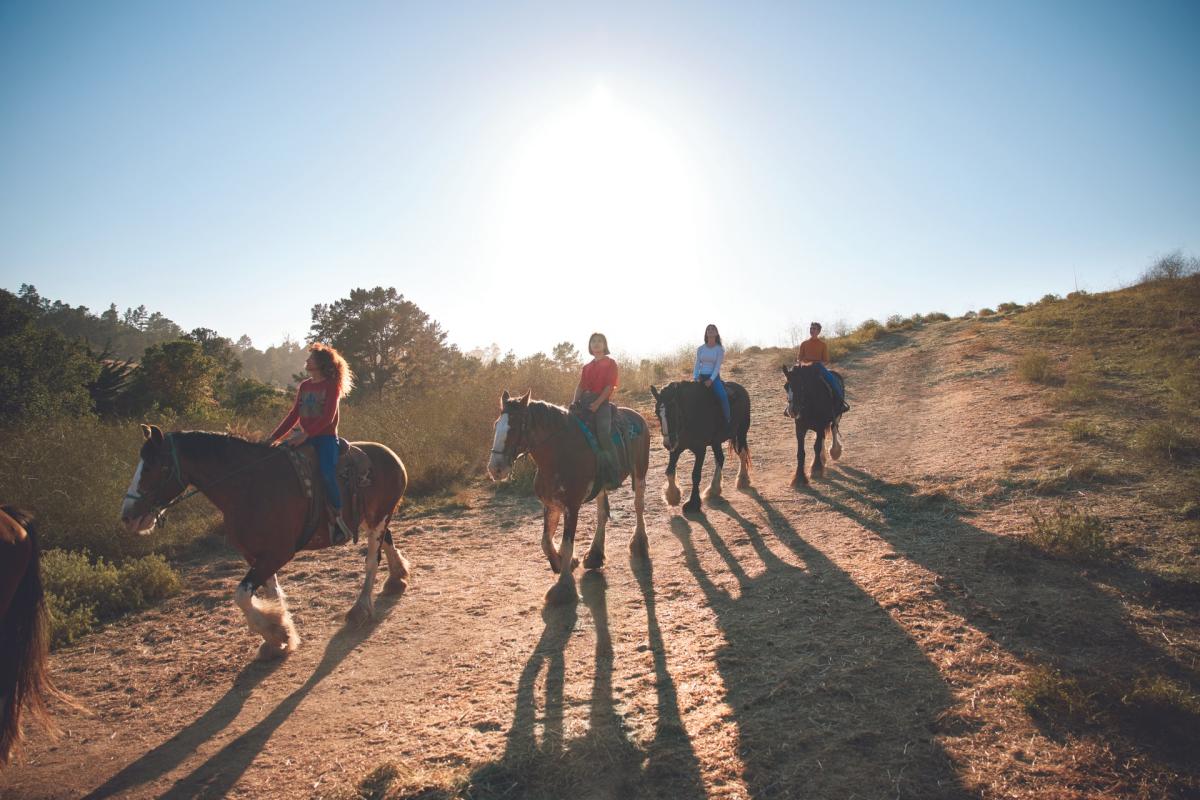 group horseback riding