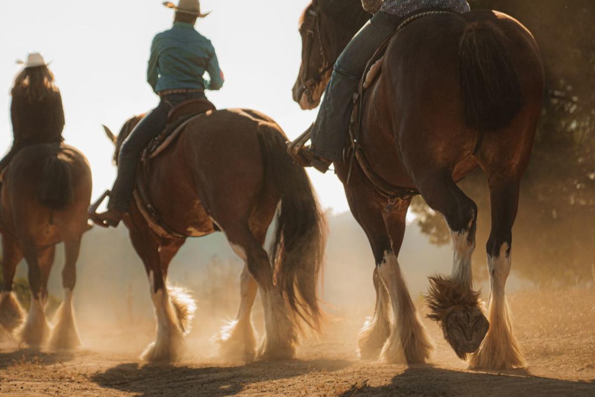 group horseback riding