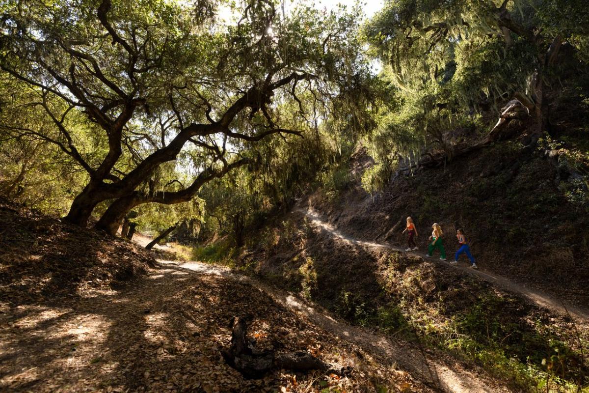 Friends hiking Three Bridges Oak Preserve