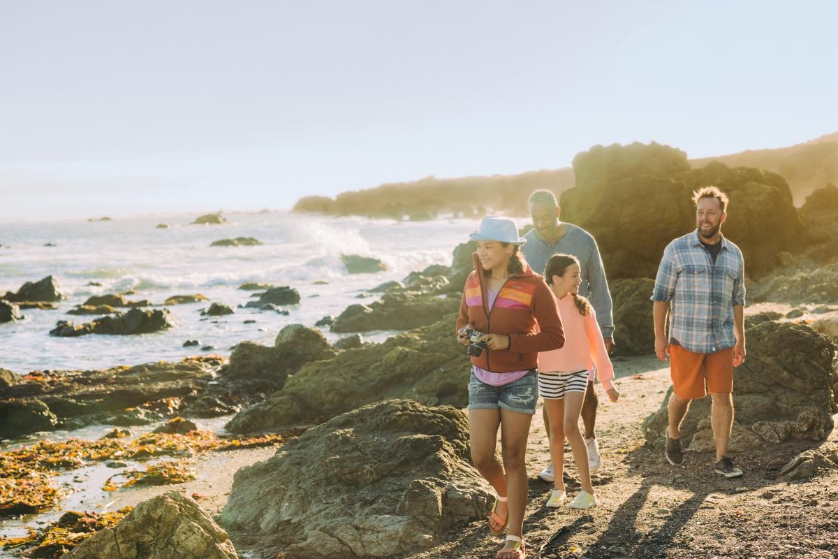 family of four exploring the tidepools near the beach