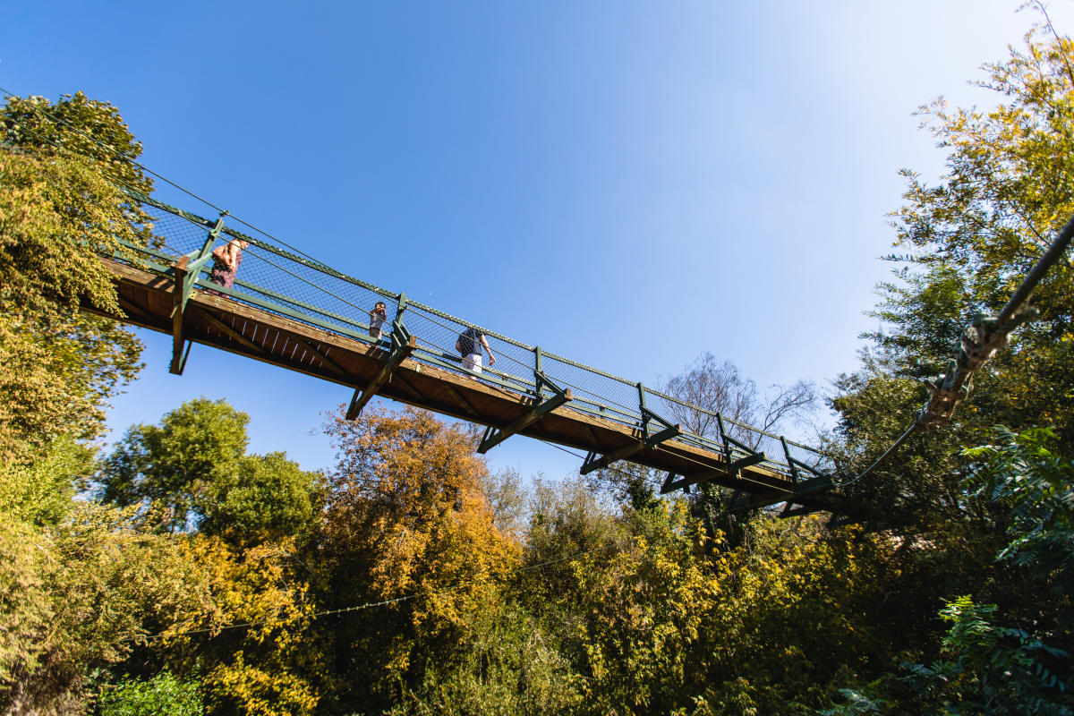 People crossing the Arroyo Grande Swinging Bridge in SLO CAL