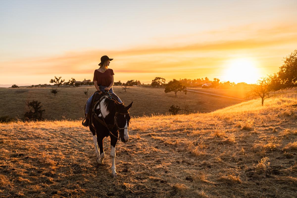 Girl riding a horse