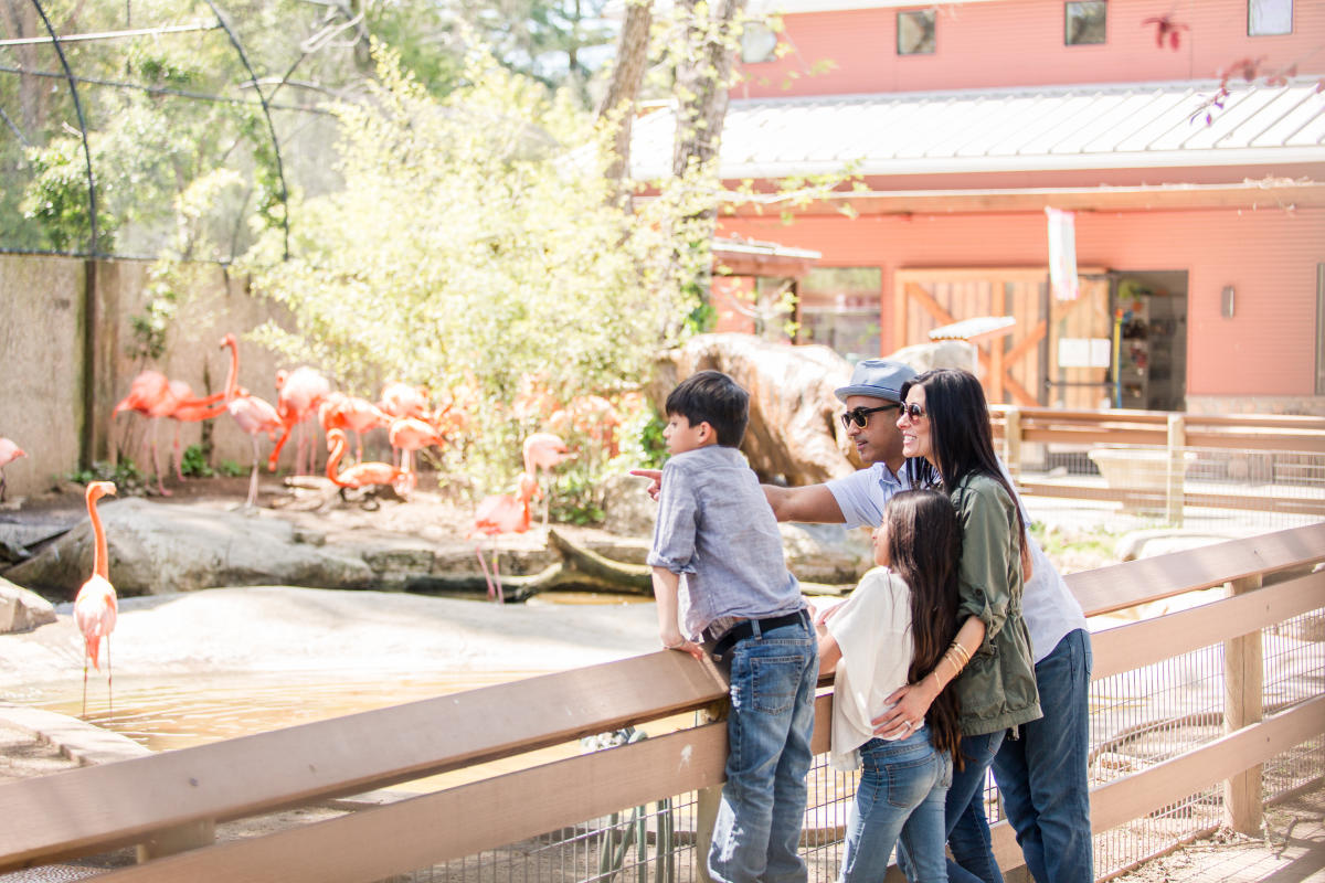 Charles Paddock Zoo