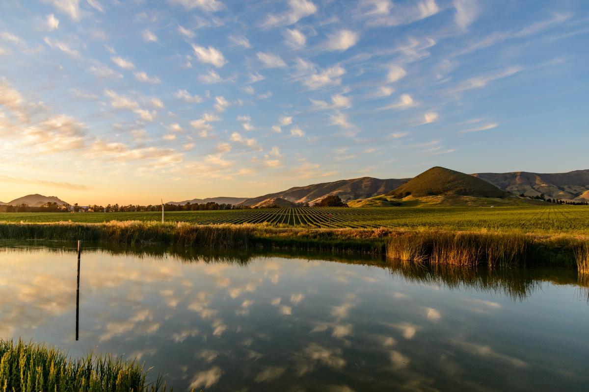 Tolosa Irrigation Eco : Photo Duane Hill