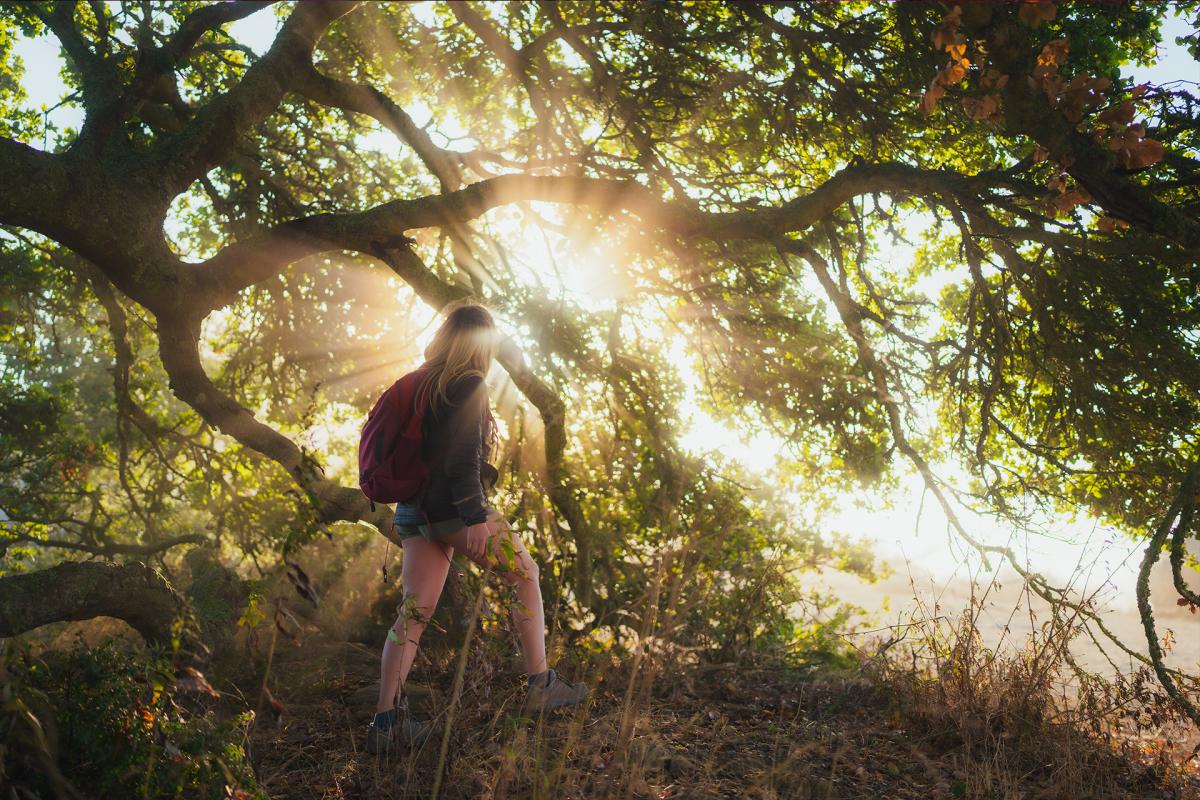 Female walking through light shining through tree