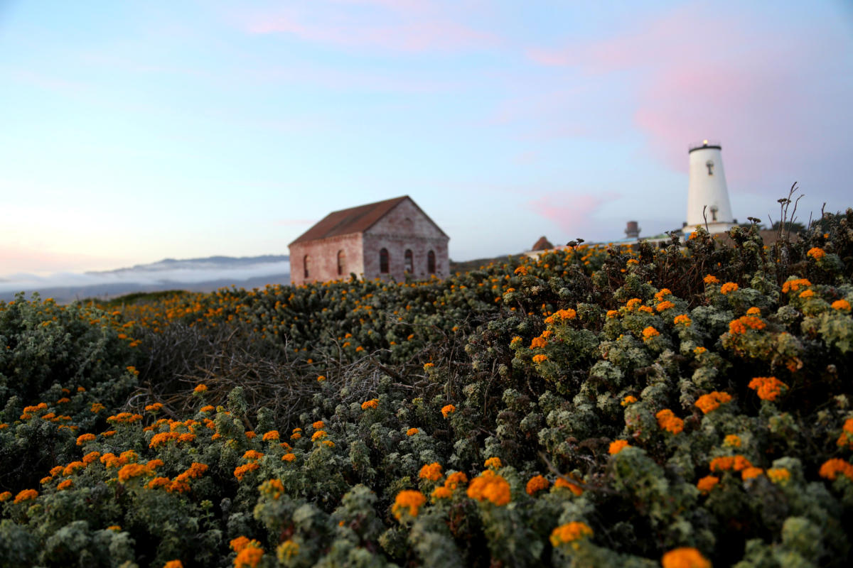 Piedras Blancas Lighthouse in San Simeon