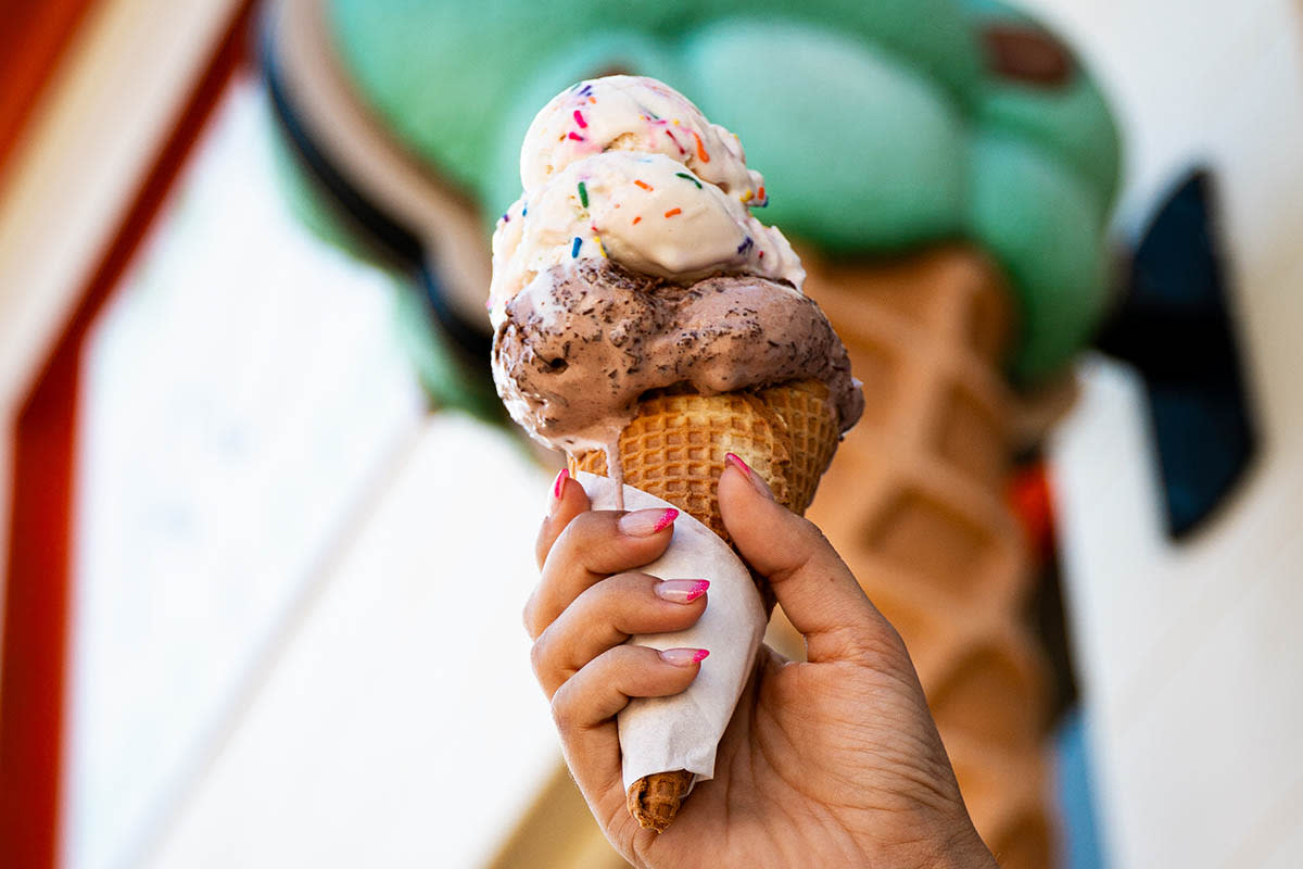 The 5 Best Ice Cream Scoops