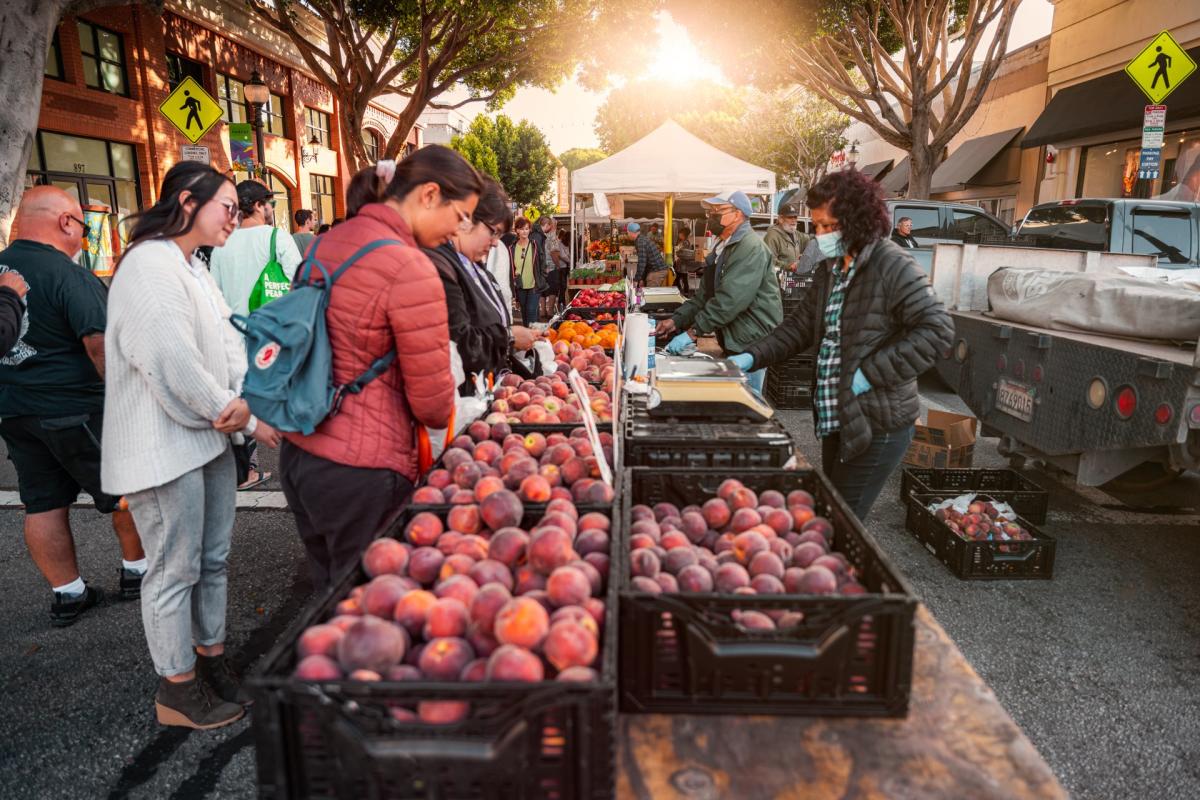 People shopping for produce at the Downtown SLO farmers market